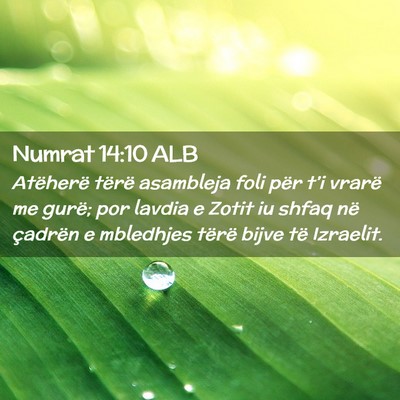 Picture 02 - Numrat 14:10 ALB - Atëherë tërë asambleja foli për t’i vrarë - Bible Verse Picture