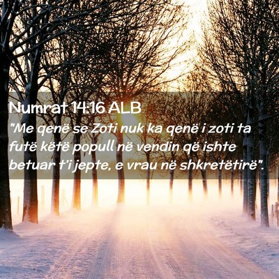 Picture 02 - Numrat 14:16 ALB - 