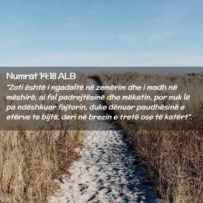 Picture 02 - Numrat 14:18 ALB - 