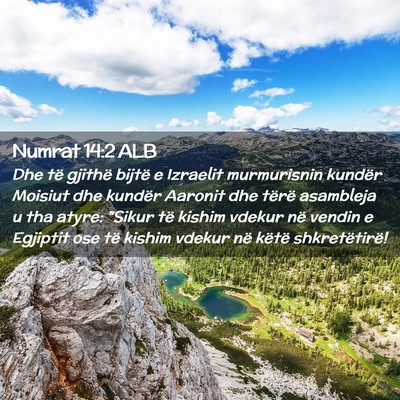 Picture 02 - Numrat 14:2 ALB - Dhe të gjithë bijtë e Izraelit murmurisnin - Bible Verse Picture