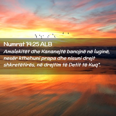 Picture 02 - Numrat 14:25 ALB - Amalekitët dhe Kananejtë banojnë në luginë, - Bible Verse Picture