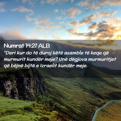 Picture 02 - Numrat 14:27 ALB - 