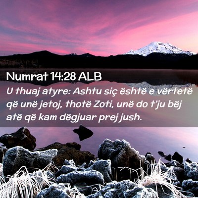 Picture 02 - Numrat 14:28 ALB - U thuaj atyre: Ashtu siç është e vërtetë që - Bible Verse Picture