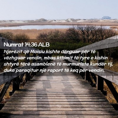 Picture 02 - Numrat 14:36 ALB - Njerëzit që Moisiu kishte dërguar për të - Bible Verse Picture