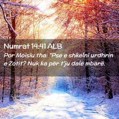 Picture 02 - Numrat 14:41 ALB - Por Moisiu tha: 