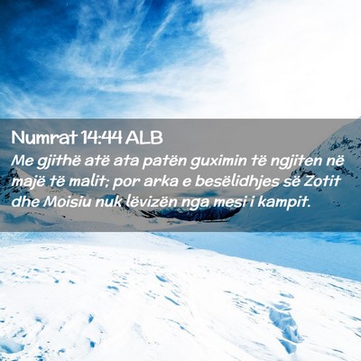 Picture 02 - Numrat 14:44 ALB - Me gjithë atë ata patën guximin të ngjiten - Bible Verse Picture