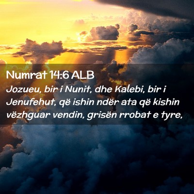 Picture 02 - Numrat 14:6 ALB - Jozueu, bir i Nunit, dhe Kalebi, bir i Jenufehut, - Bible Verse Picture