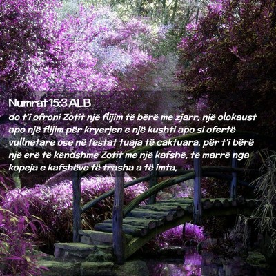 Picture 02 - Numrat 15:3 ALB - do t’i ofroni Zotit një flijim të bërë me - Bible Verse Picture