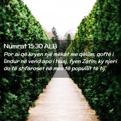 Picture 02 - Numrat 15:30 ALB - Por ai që kryen një mëkat me qëllim, qoftë i - Bible Verse Picture
