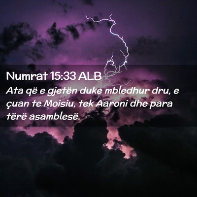 Picture 02 - Numrat 15:33 ALB - Ata që e gjetën duke mbledhur dru, e çuan te - Bible Verse Picture
