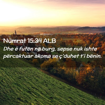 Picture 02 - Numrat 15:34 ALB - Dhe e futën në burg, sepse nuk ishte - Bible Verse Picture