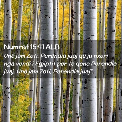 Picture 02 - Numrat 15:41 ALB - Unë jam Zoti, Perëndia juaj që ju nxori nga - Bible Verse Picture