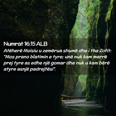 Picture 02 - Numrat 16:15 ALB - Atëherë Moisiu u zemërua shumë dhe i tha - Bible Verse Picture