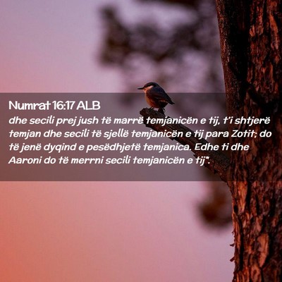 Picture 02 - Numrat 16:17 ALB - dhe secili prej jush të marrë temjanicën e - Bible Verse Picture