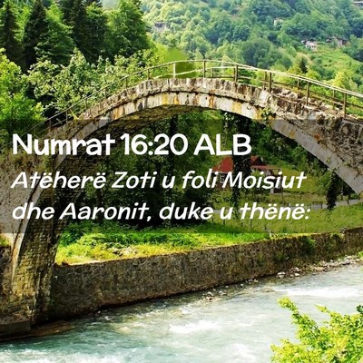 Picture 02 - Numrat 16:20 ALB - Atëherë Zoti u foli Moisiut dhe Aaronit, duke u - Bible Verse Picture
