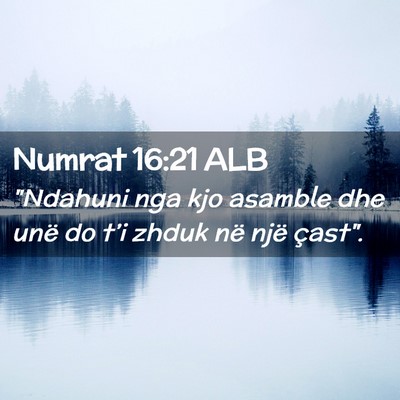 Picture 02 - Numrat 16:21 ALB - 