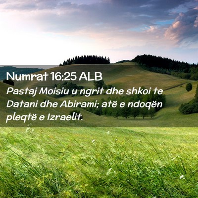 Picture 02 - Numrat 16:25 ALB - Pastaj Moisiu u ngrit dhe shkoi te Datani dhe - Bible Verse Picture