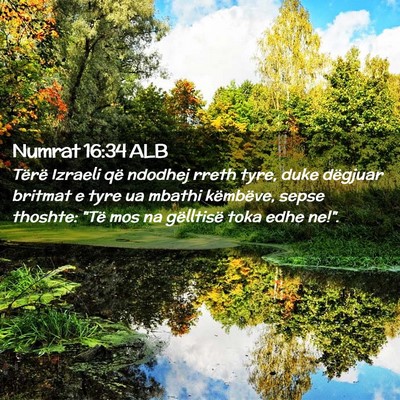 Picture 02 - Numrat 16:34 ALB - Tërë Izraeli që ndodhej rreth tyre, duke - Bible Verse Picture