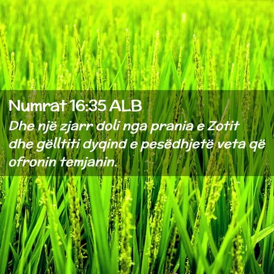 Picture 02 - Numrat 16:35 ALB - Dhe një zjarr doli nga prania e Zotit dhe - Bible Verse Picture