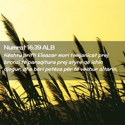 Picture 02 - Numrat 16:39 ALB - Kështu prifti Eleazar mori temjanicat prej - Bible Verse Picture