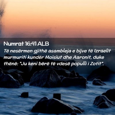 Picture 02 - Numrat 16:41 ALB - Të nesërmen gjithë asambleja e bijve të - Bible Verse Picture