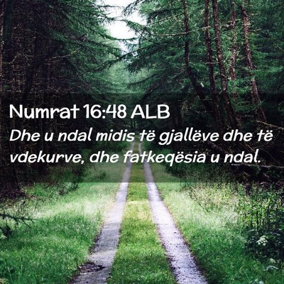 Picture 02 - Numrat 16:48 ALB - Dhe u ndal midis të gjallëve dhe të vdekurve, - Bible Verse Picture