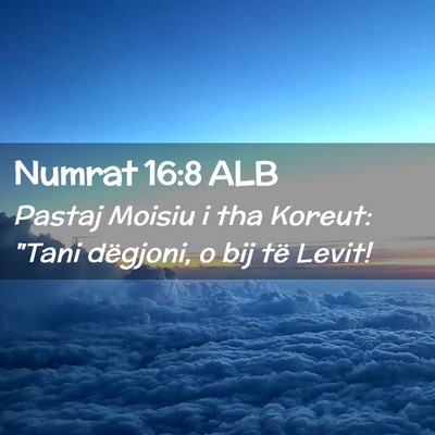 Picture 02 - Numrat 16:8 ALB - Pastaj Moisiu i tha Koreut: 