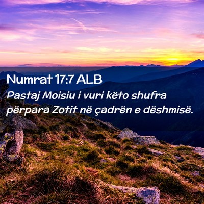 Picture 02 - Numrat 17:7 ALB - Pastaj Moisiu i vuri këto shufra përpara Zotit - Bible Verse Picture