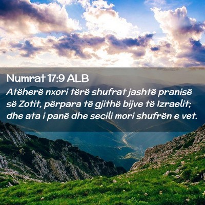 Picture 02 - Numrat 17:9 ALB - Atëherë nxori tërë shufrat jashtë pranisë - Bible Verse Picture