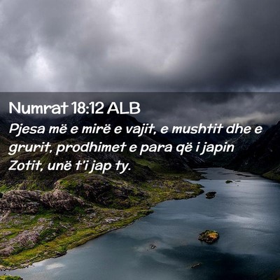 Picture 02 - Numrat 18:12 ALB - Pjesa më e mirë e vajit, e mushtit dhe e - Bible Verse Picture