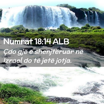 Picture 02 - Numrat 18:14 ALB - Çdo gjë e shenjtëruar në Izrael do të jetë - Bible Verse Picture