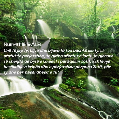 Picture 02 - Numrat 18:19 ALB - Unë të jap ty, bijve dhe bijave të tua bashkë - Bible Verse Picture
