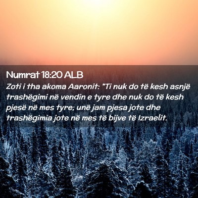 Picture 02 - Numrat 18:20 ALB - Zoti i tha akoma Aaronit: 