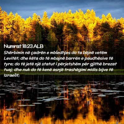 Picture 02 - Numrat 18:23 ALB - Shërbimin në çadrën e mbledhjes do ta bëjnë - Bible Verse Picture