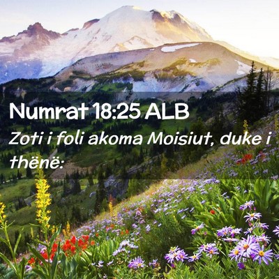 Picture 02 - Numrat 18:25 ALB - Zoti i foli akoma Moisiut, duke i - Bible Verse Picture