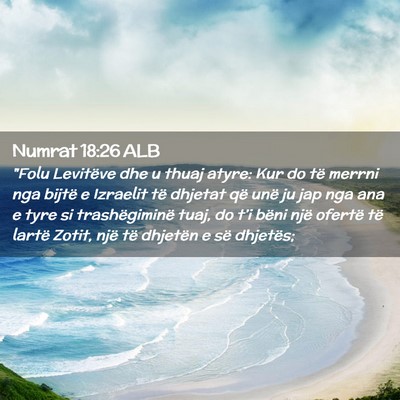 Picture 02 - Numrat 18:26 ALB - 
