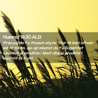 Picture 02 - Numrat 18:30 ALB - Prandaj do t’u thuash atyre: 