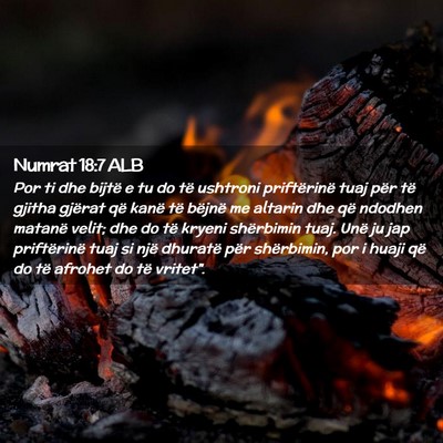 Picture 02 - Numrat 18:7 ALB - Por ti dhe bijtë e tu do të ushtroni - Bible Verse Picture