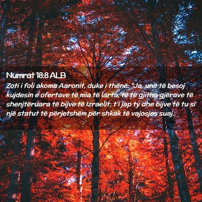 Picture 02 - Numrat 18:8 ALB - Zoti i foli akoma Aaronit, duke i thënë: 