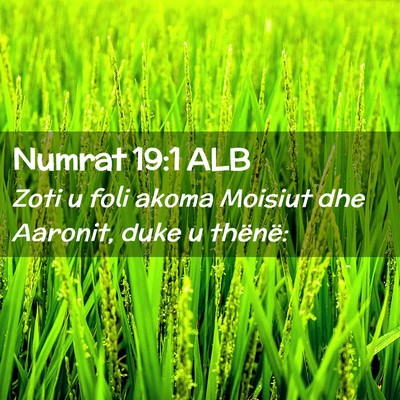 Picture 02 - Numrat 19:1 ALB - Zoti u foli akoma Moisiut dhe Aaronit, duke u - Bible Verse Picture
