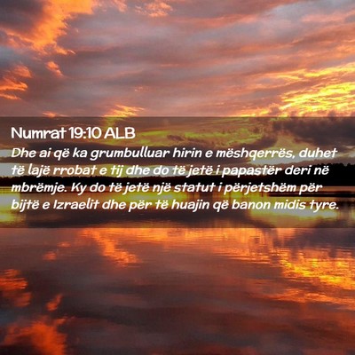 Picture 02 - Numrat 19:10 ALB - Dhe ai që ka grumbulluar hirin e mëshqerrës, - Bible Verse Picture