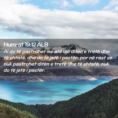 Picture 02 - Numrat 19:12 ALB - Ai do të pastrohet me atë ujë ditën e tretë - Bible Verse Picture