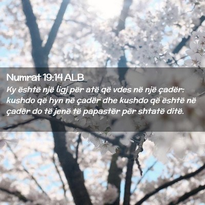 Picture 02 - Numrat 19:14 ALB - Ky është një ligj për atë që vdes në një - Bible Verse Picture