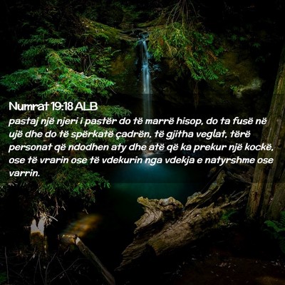 Picture 02 - Numrat 19:18 ALB - pastaj një njeri i pastër do të marrë hisop, - Bible Verse Picture