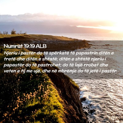 Picture 02 - Numrat 19:19 ALB - Njeriu i pastër do të spërkatë të papastrin - Bible Verse Picture
