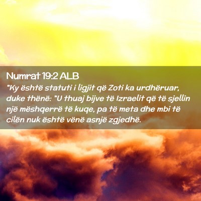 Picture 02 - Numrat 19:2 ALB - 