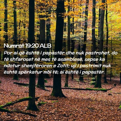 Picture 02 - Numrat 19:20 ALB - Por ai që është i papastër dhe nuk pastrohet, - Bible Verse Picture