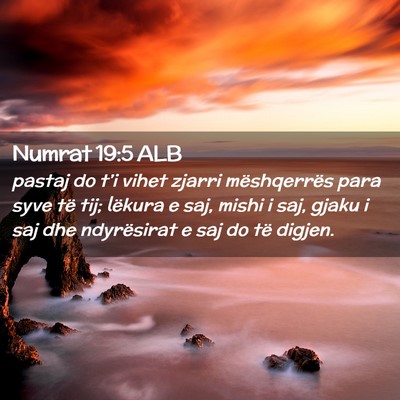 Picture 02 - Numrat 19:5 ALB - pastaj do t’i vihet zjarri mëshqerrës para - Bible Verse Picture