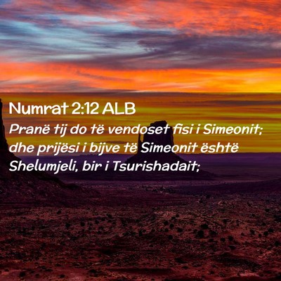 Picture 02 - Numrat 2:12 ALB - Pranë tij do të vendoset fisi i Simeonit; dhe - Bible Verse Picture