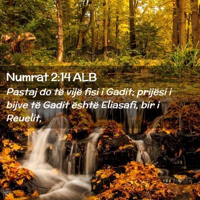 Picture 02 - Numrat 2:14 ALB - Pastaj do të vijë fisi i Gadit; prijësi i - Bible Verse Picture